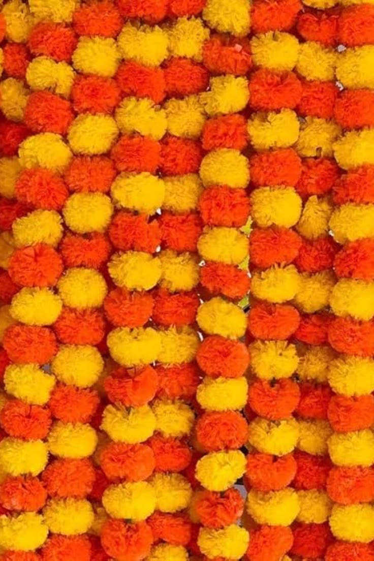Marigold String