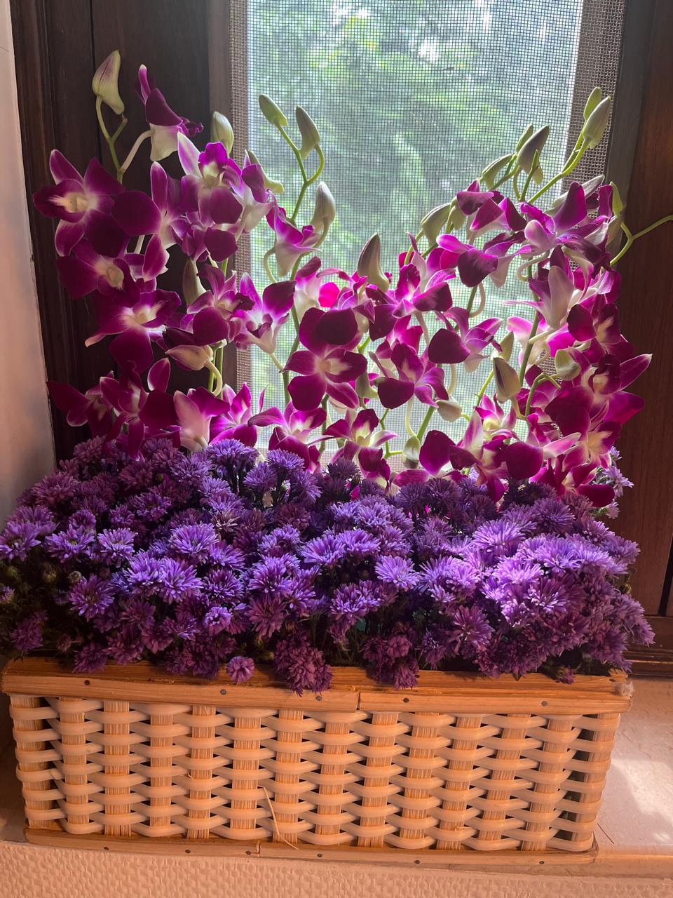Royal Purple Orchid & Aster Basket Arrangement