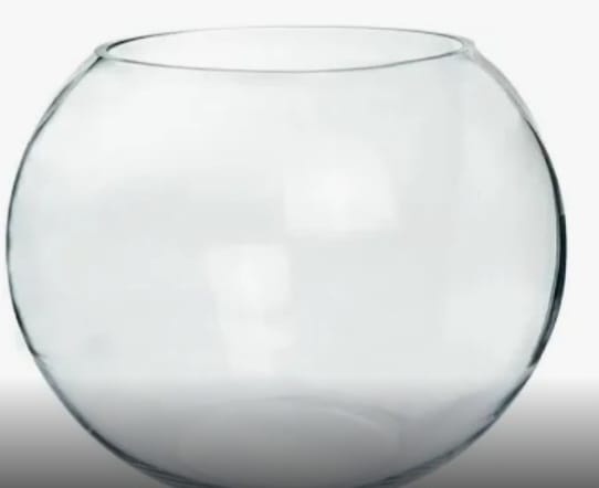 Fish bowl