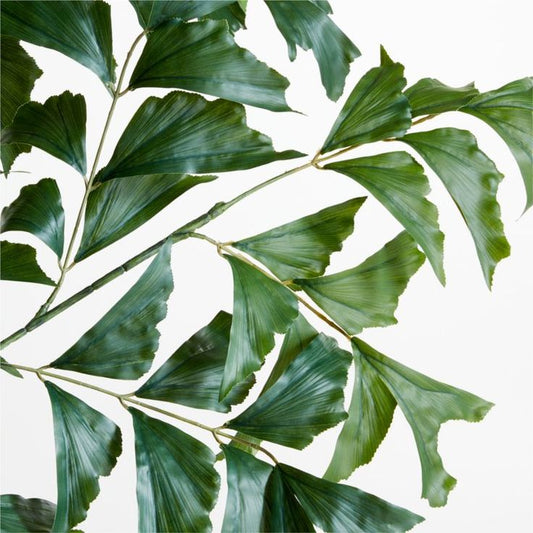 Fissh Palm