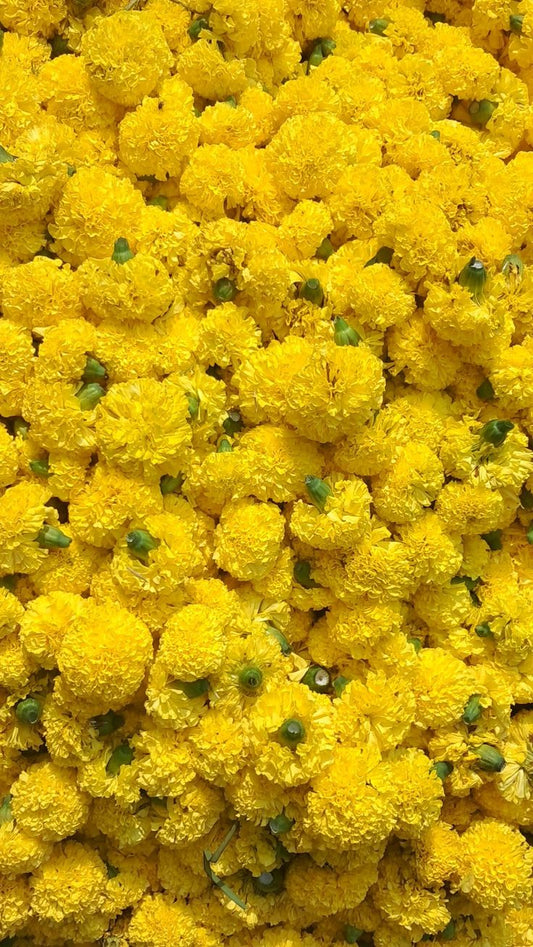 Marigold Flowers Loose